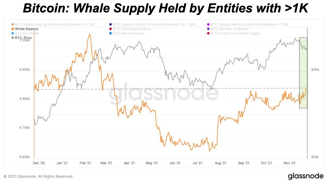 Market Research Report: Crypto Not Spared As New COVID Variant Sparkes Fears - BTC 1k whale added